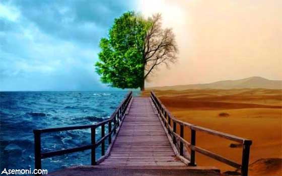 پروژه و تحقیق-مدیریت محیط زیست- در 80 صفحه-docx